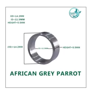 african-grey-parrot-rings