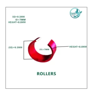 rollers-pigeon