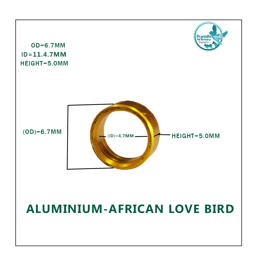 Buy African Love Birds Ring 5mm online | Lazada.com.ph