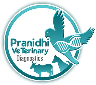 Pranidhi Veterinary Diagnostics